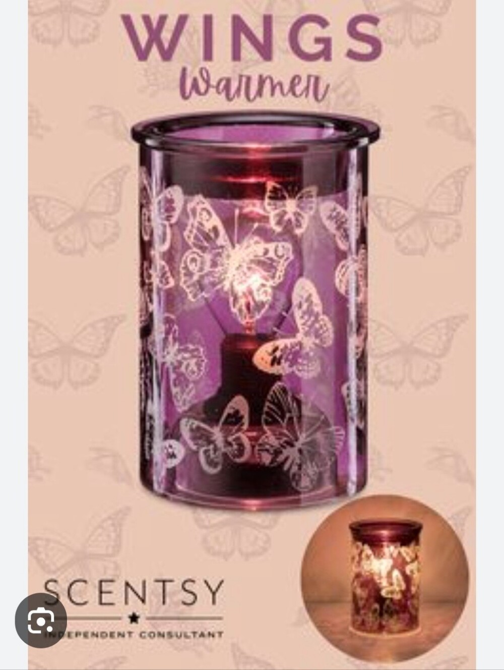 Scentsy Wings Warmer